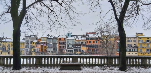 20201230_104614-edit