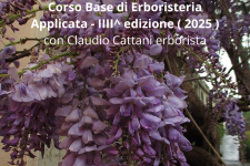 Corso di erboristeria applicata