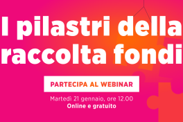 pilastri_raccolta_fondi