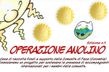 Operazione anolino
