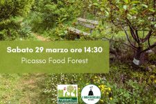 Tornano i sabati della Picasso Food Forest!