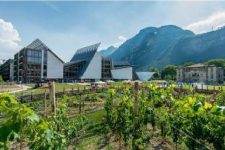 Primavera di meraviglia fra scienza e giardino