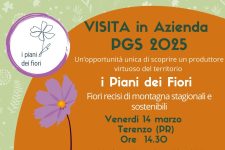I piani dei fiori