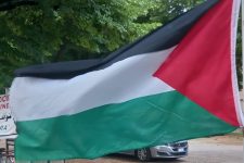 Casa della pace: un appello