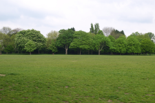 Notiziario “verde” di Parchi urbani APS