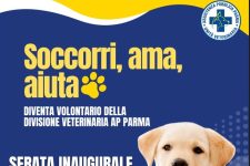 Soccorri, ama, aiuta!