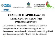 Camminata metabolica