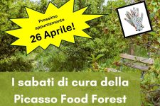 I sabati della Picasso Food Forest!