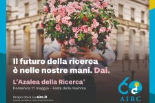 Le azalee della ricerca