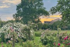 In bici alle "Quisquilie letterarie"