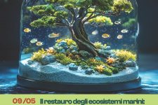 Il restauro degli ecosistemi marini