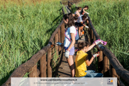 scadenze-giugno-sito-web-83-480x0