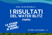 Water Blitz: i risultati