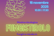 Fungistirolo