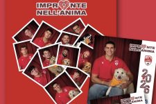 Sostieni la Pet terapy