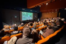 Vita selvaggia&nbsp;del lupo di pianura