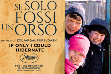 Se solo fossi un orso