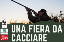 Una fiera da cacciare