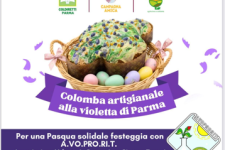 La colomba solidale di Avoprorit