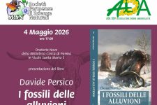 I fossili delle alluvioni