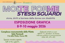 Molte forme, stessi sguardi