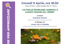 Le foglie sporcano