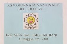XXV Giornata Nazionale del Sollievo