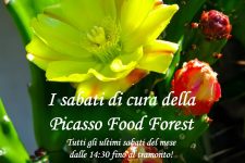 I sabati della Picasso Food Forest!