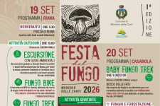 Festa del fungo